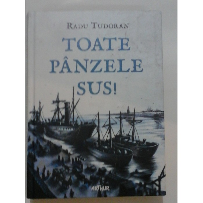 TOATE PANZELE SUS ! - RADU TUDORAN